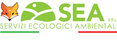 SEA SRL